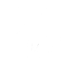 donkey