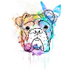 Bouledogue