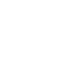 The Penguin