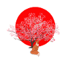 cherry blossom