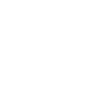 Squid 02