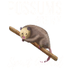 Opossums sind mein Geistestier