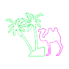 camel