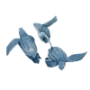 leatherback turtle 2
