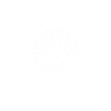 Arbre de vie d'Yggdrasil avec roue runique nordique