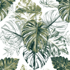 Tropical Monstera Leaves Pattern