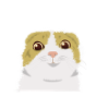 smiling cat meme