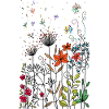 Fleurs