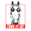 Islandese che dice Take It Isi I a cavallo