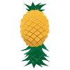 Upside Down Ananas Fruchtliebhaber Geschenkidee