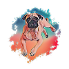 pug