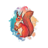 squirrel
