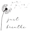 Enjoy Life Dandelion Dandelion Ease
