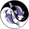 Pisces yin yang