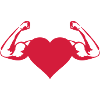 muscles heart 1