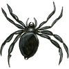 spider - spider - spinne - zentrifuge - aranha