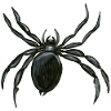 araignée - spider - spinne - zentrifuge - aranha