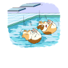Plongeoir de plateforme de plongée de cobaye de natation