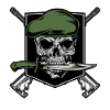 Soldiers skull army emblem