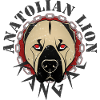 Kangal