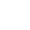 Cavapoo Cavoodle