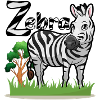 Zebra