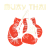 Muay thai