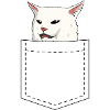Same cat
