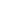 an scheiss muas i
