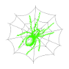 Green spider