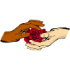Hands