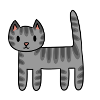 Grey Tabby Cat