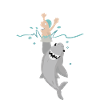 Requin humour marrant dessin rigolo