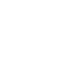 Panoramic