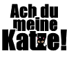 Katze Tier Haustier Sprüche