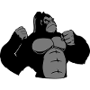 gorilla