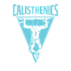 Calisthenics pull-up bar