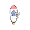 Koala rocket in orbit