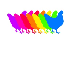 Hühner bunt Regenbogen