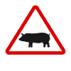 Segnali stradali attenzione maiale scrofa segno divertente