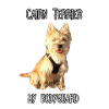 My Bodyguard - Cairn Terrier