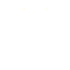 Moon phases moth moths