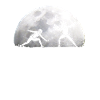 Moon fencing