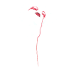 ###