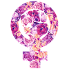 Feminism