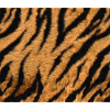 Tiger skin