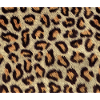 Leopard skin