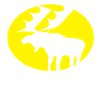 Moose