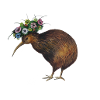 Kiwi