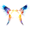 Parrot